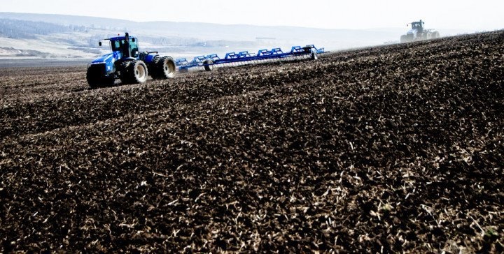 Аграриям Челябинской области в 2022 году предстоит собрать 1,83 миллиона тонн зерна