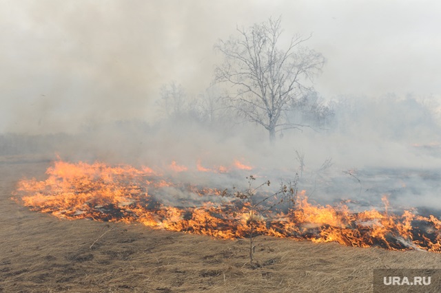 Лесные пожары: деревни и села удалось отстоять