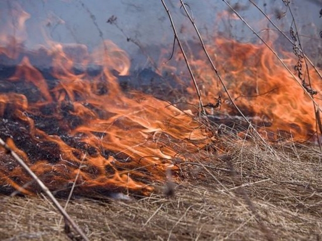 Пожароопасный сезон на Южном Урале объявлен 5 апреля