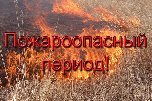 В Октябрьском районе введен особый противопожарный режим