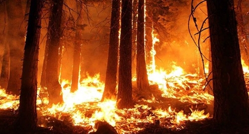 В районе горели леса, была угроза населенным пунктам