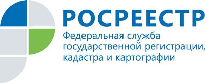 Кадастровая палата по Челябинской области опубликовала графики