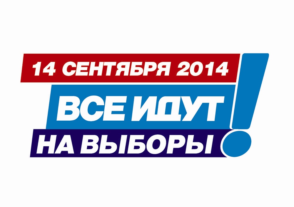 Выборы 2014 