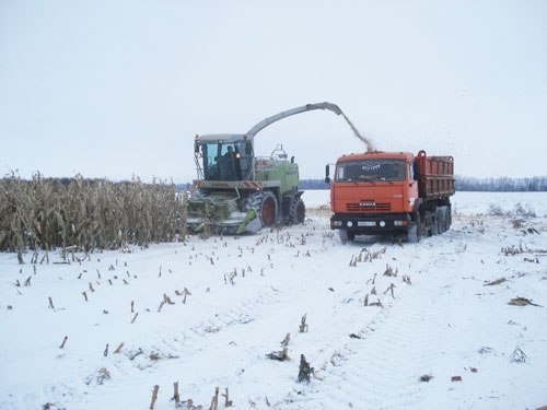 На Южном Урале до сих пор не могут убрать урожай